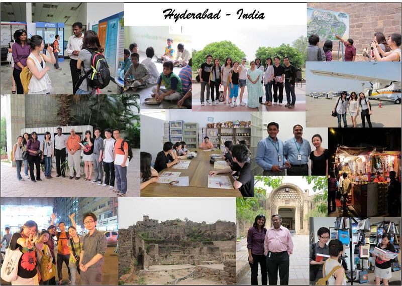 2010 India